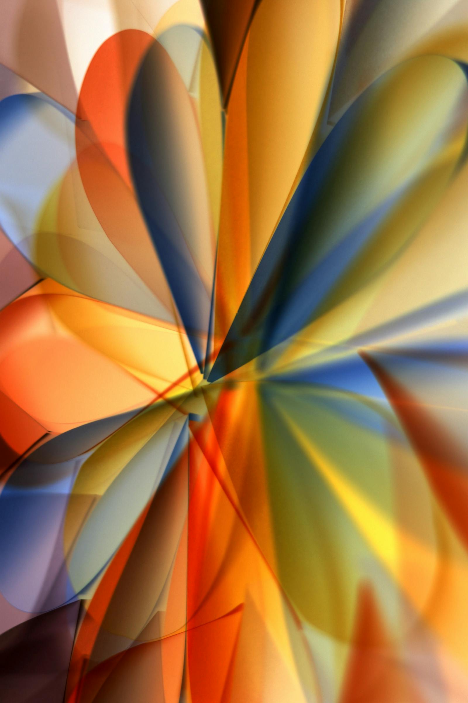 Translucent petal-like abstract in warm light