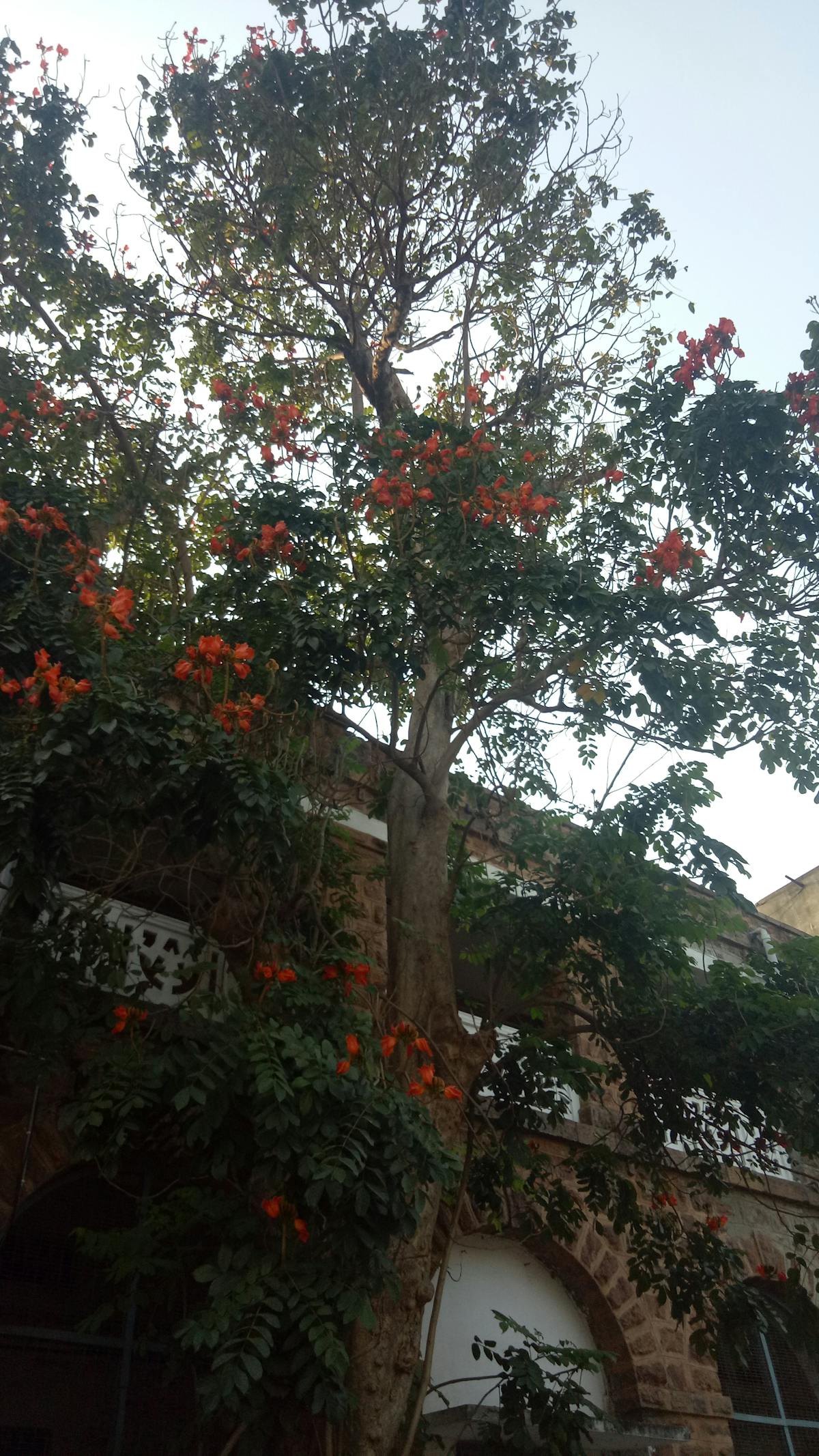 Can You Know If Someone Opened Your Email?