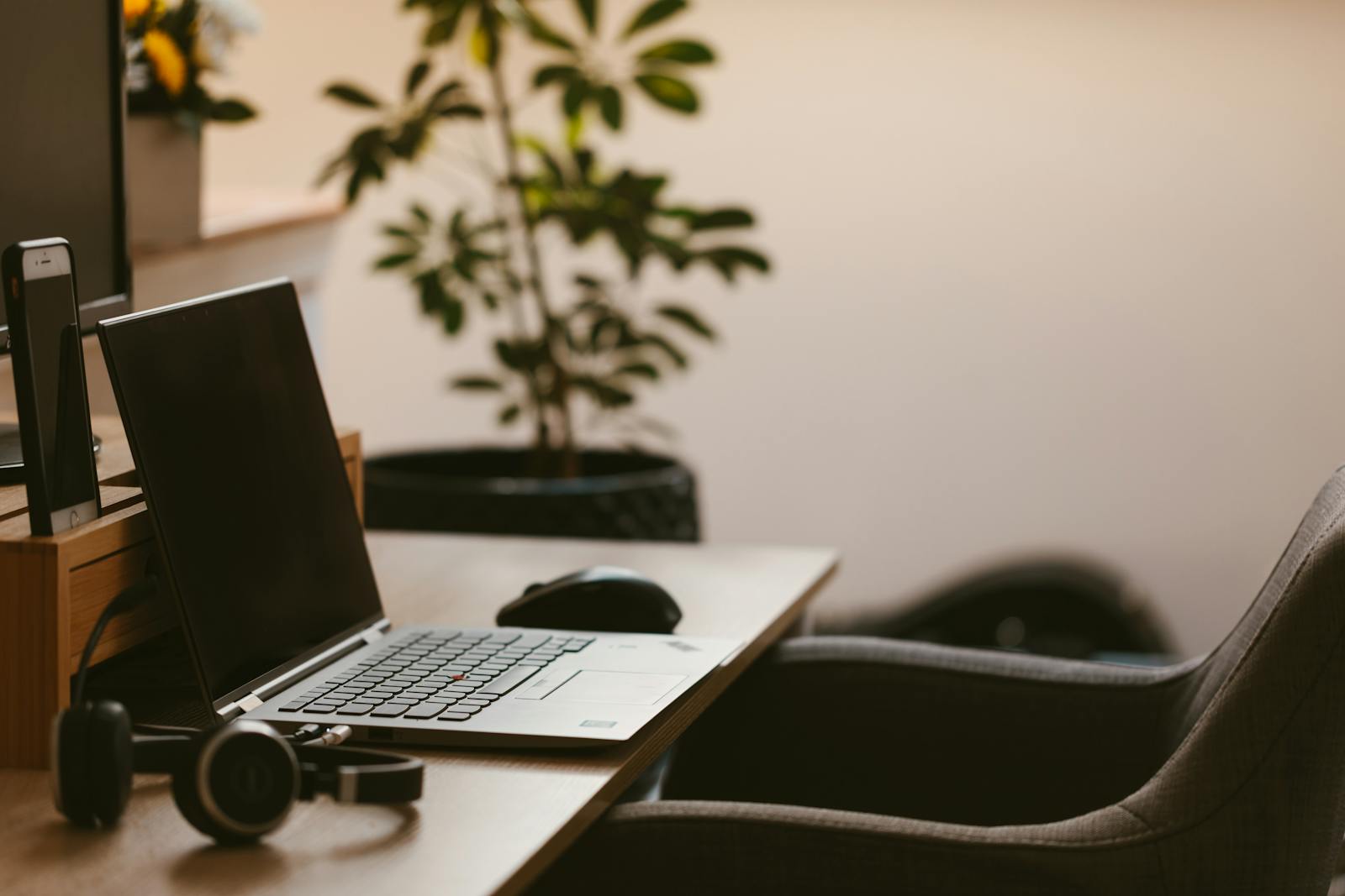 Malt para Freelancers en España: Cómo Funciona y Cómo Conseguir tus Primeros Proyectos